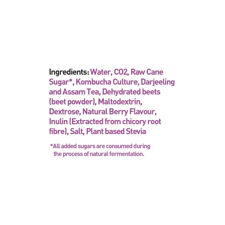 Zero Sugar Kombucha Seltzer Berry Margarita