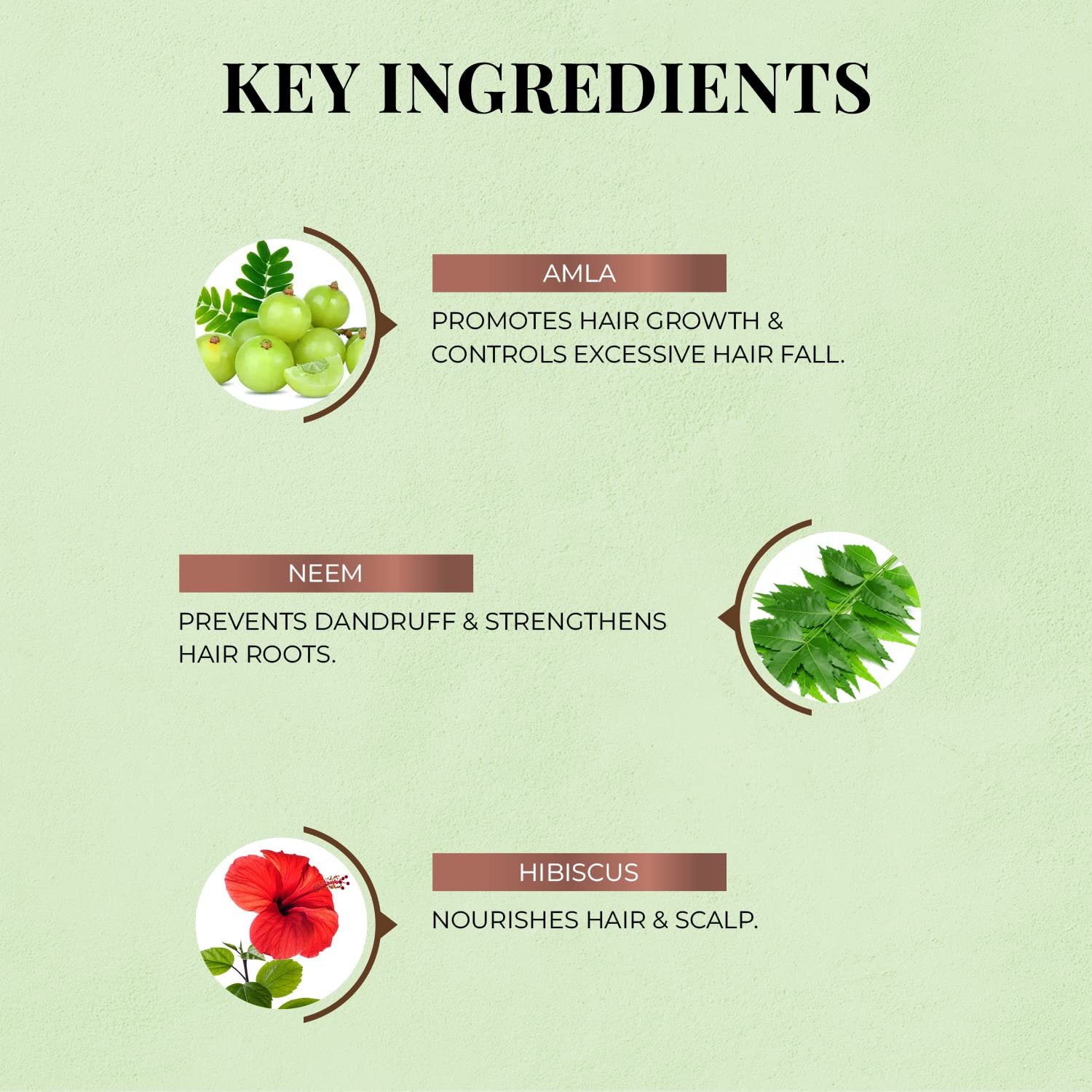 Root Nourishing Amla Neem Hair Fall Control Shampoo