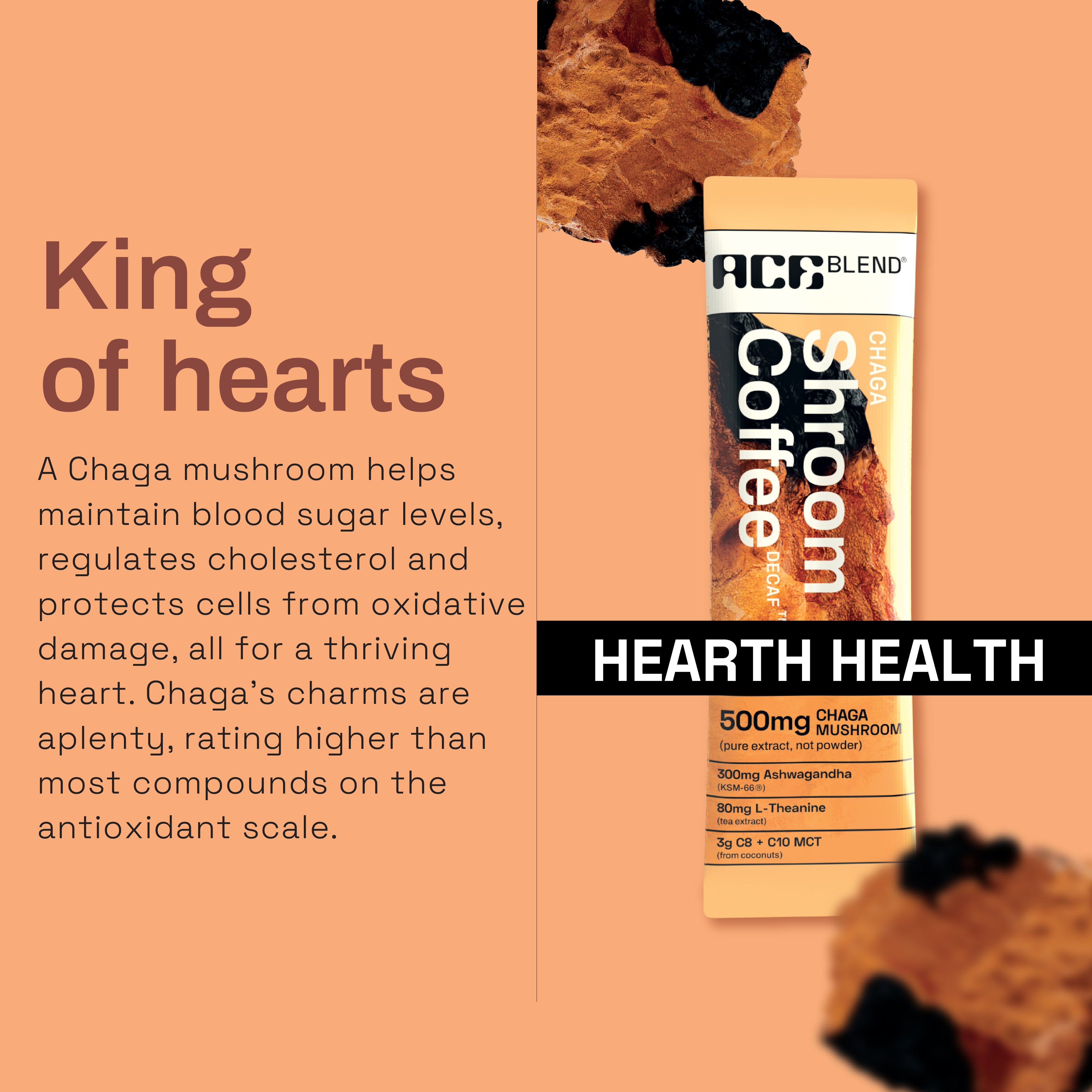 Chaga Shroom Coffee