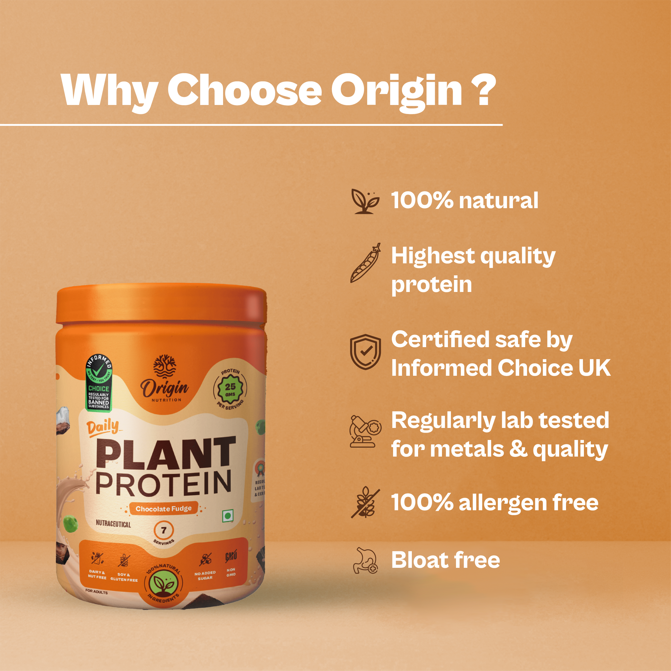 Chocolate Natural Plant Protein Powder