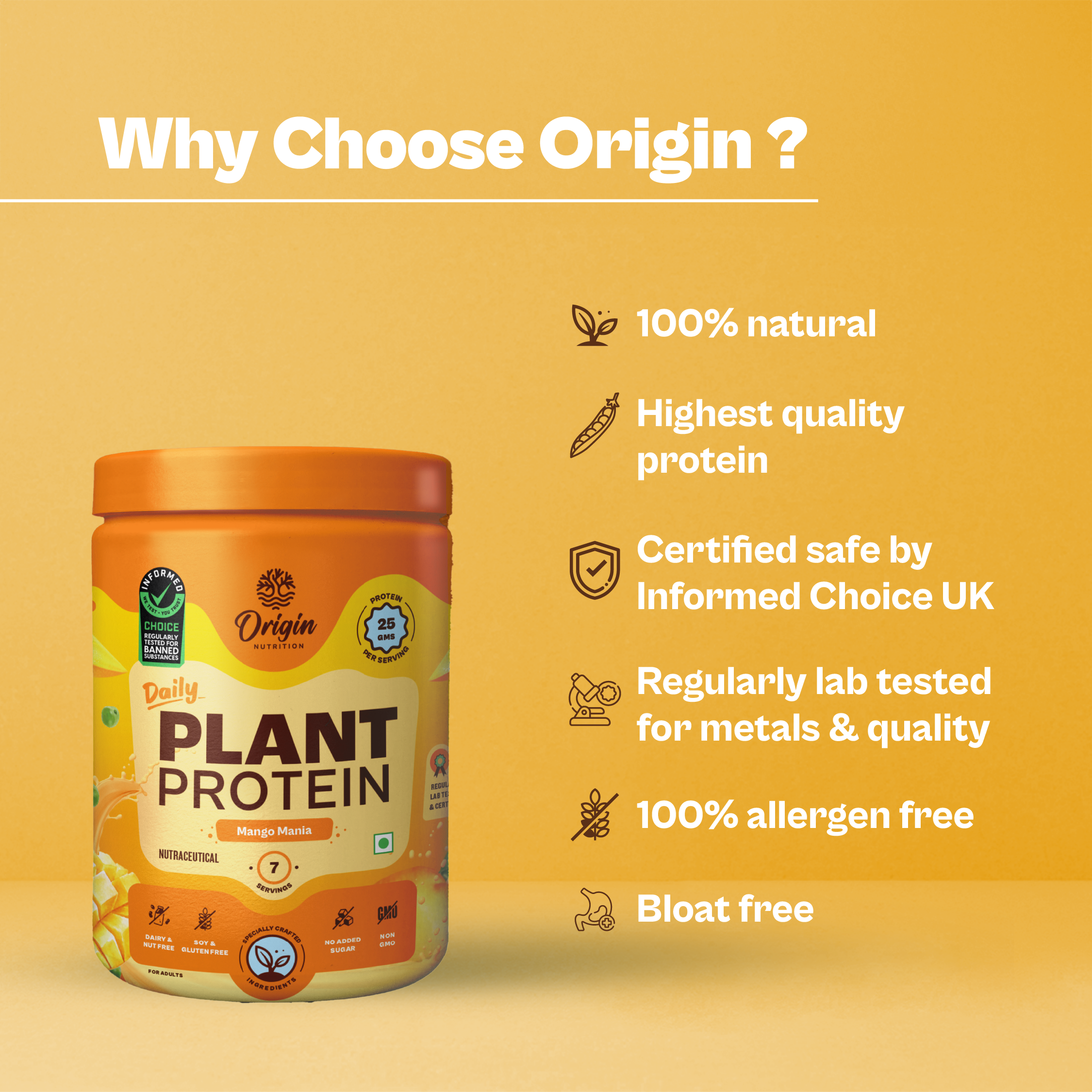 Mango Natural Plant Protein Powder
