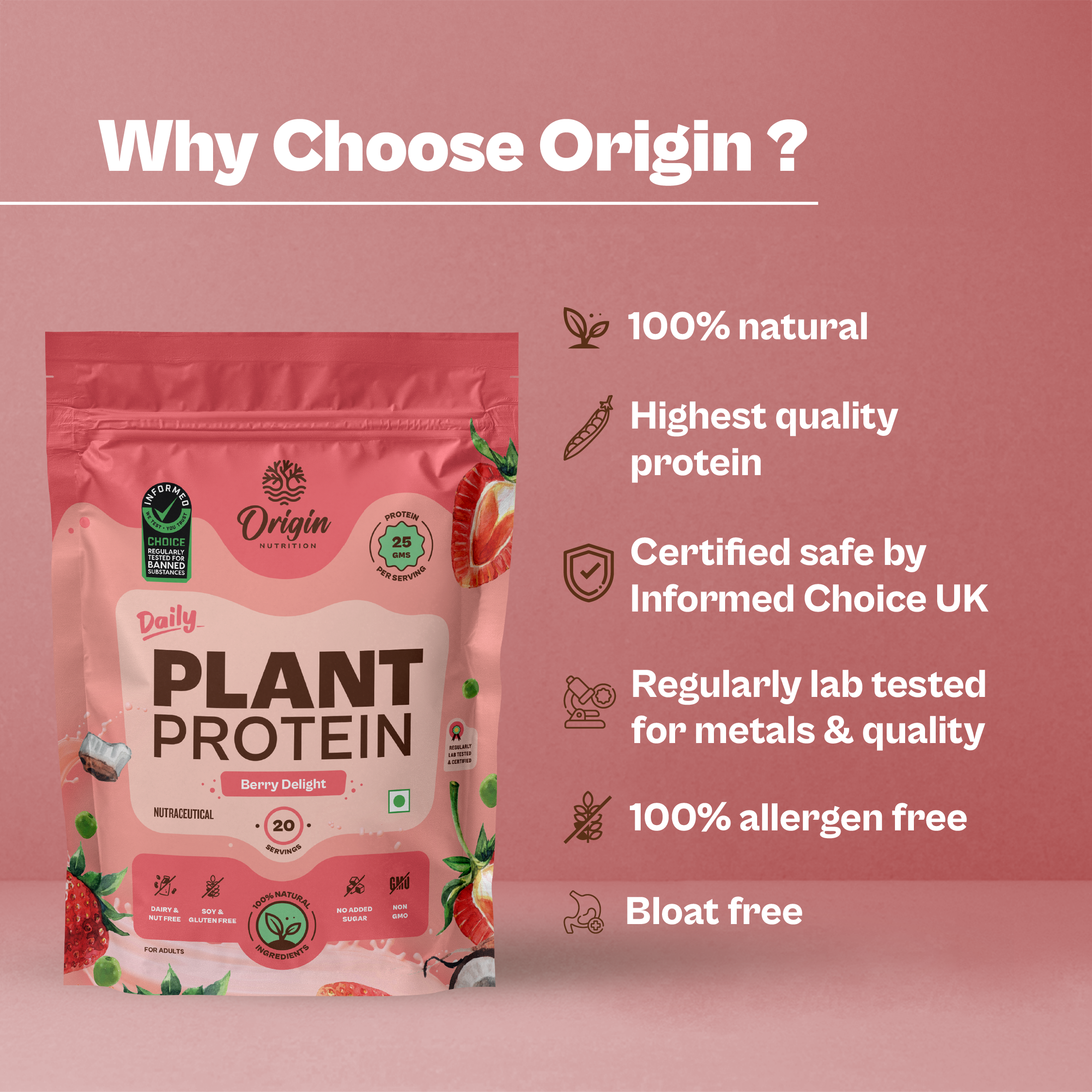 Strawberry Natural Plant Protein Powder