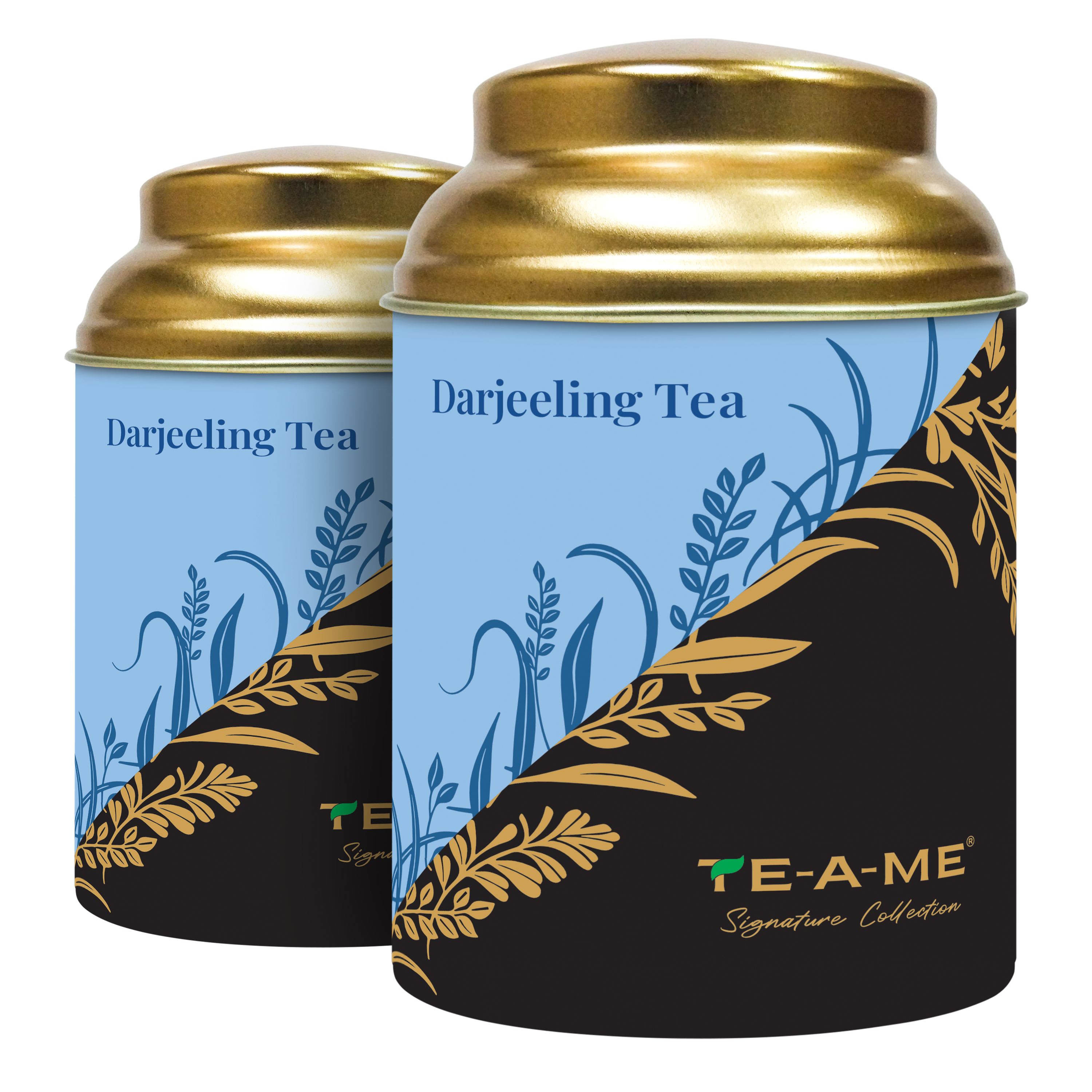 Exotic Brews  Darjeeling Black Tea