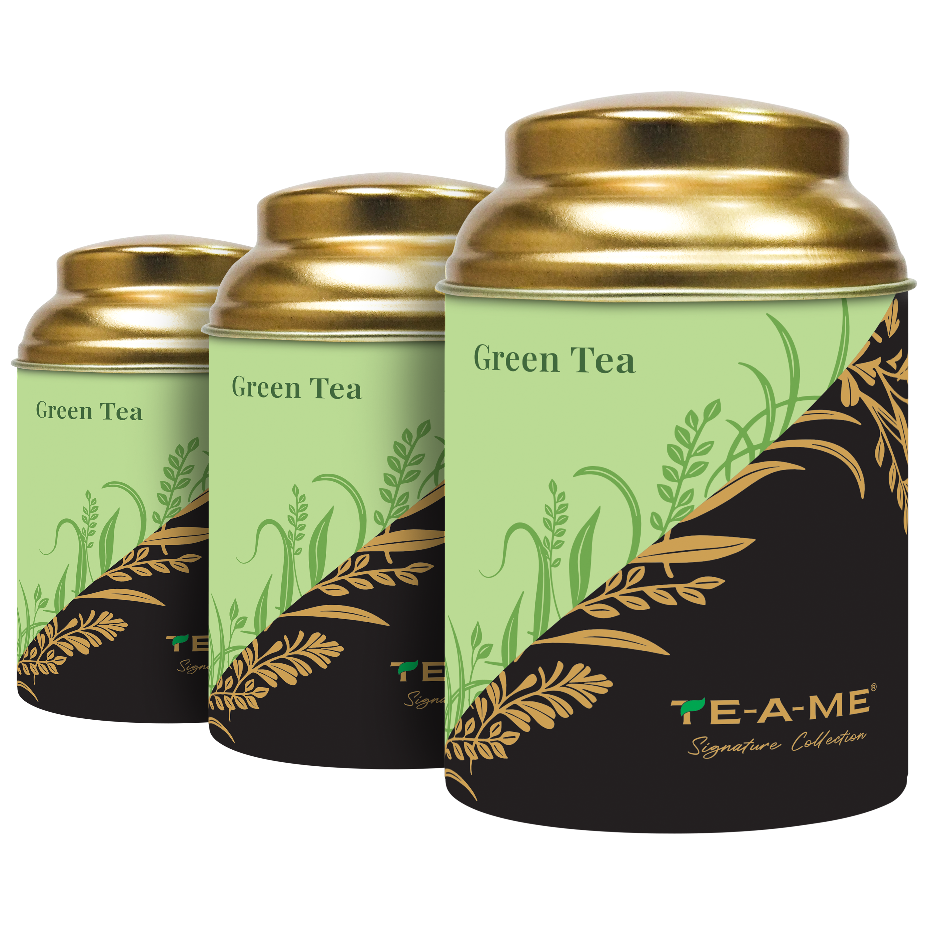 Exotic Brews Green Tea