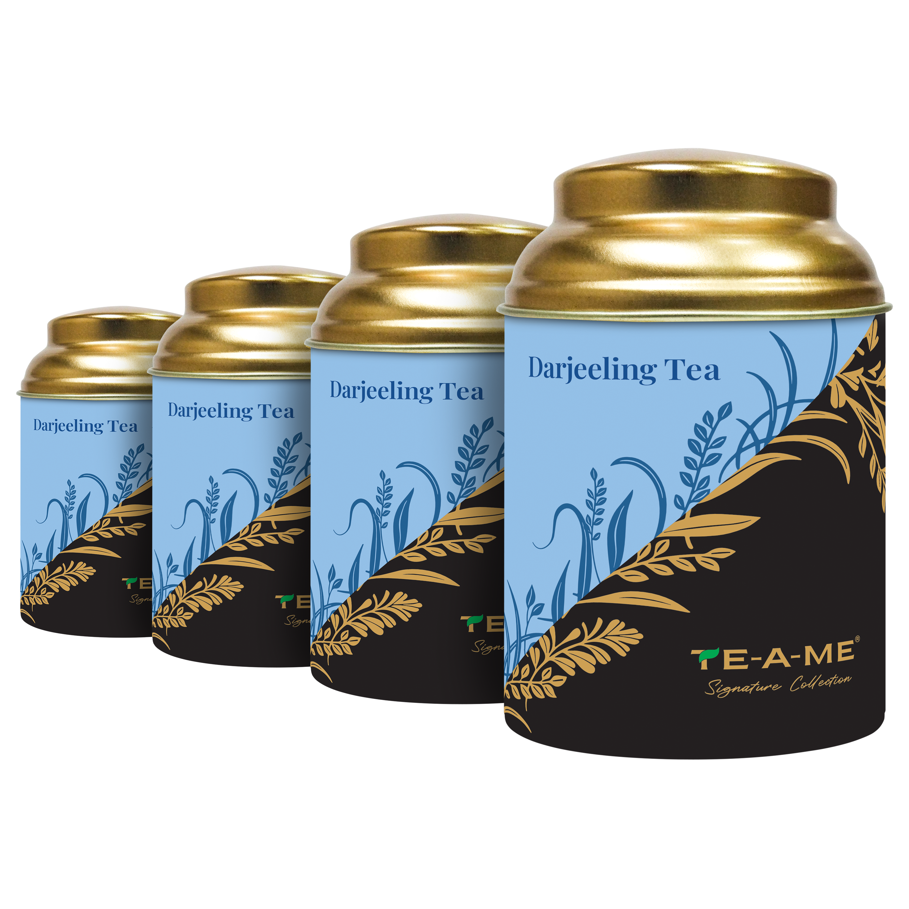 Exotic Brews  Darjeeling Black Tea