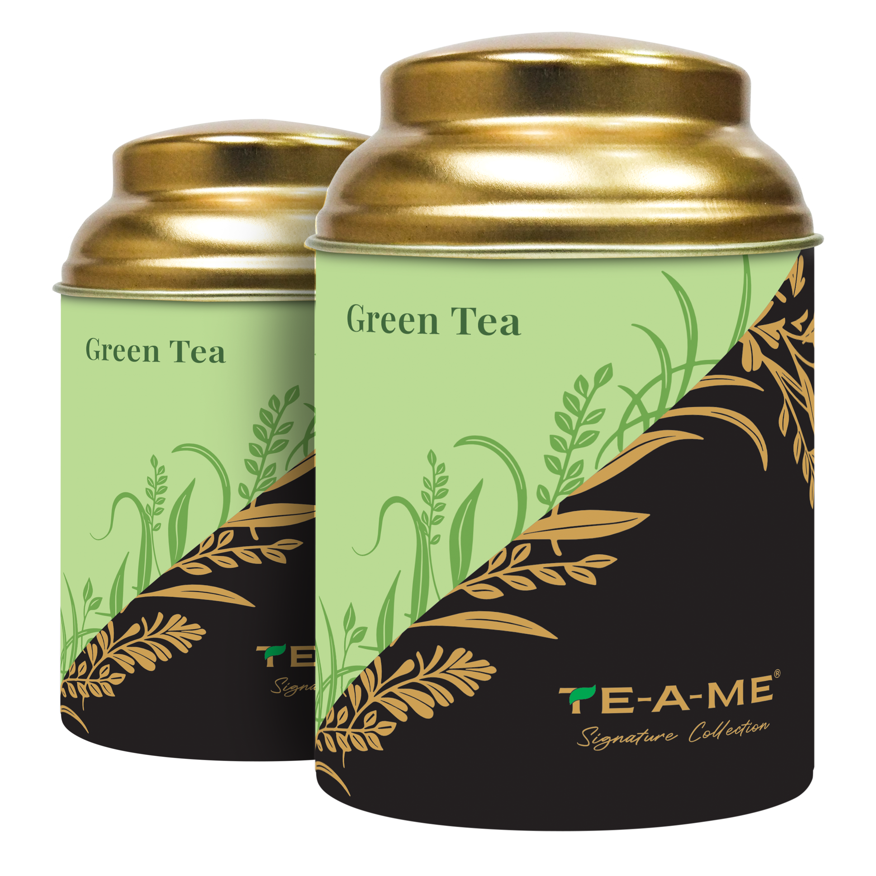 Exotic Brews Green Tea