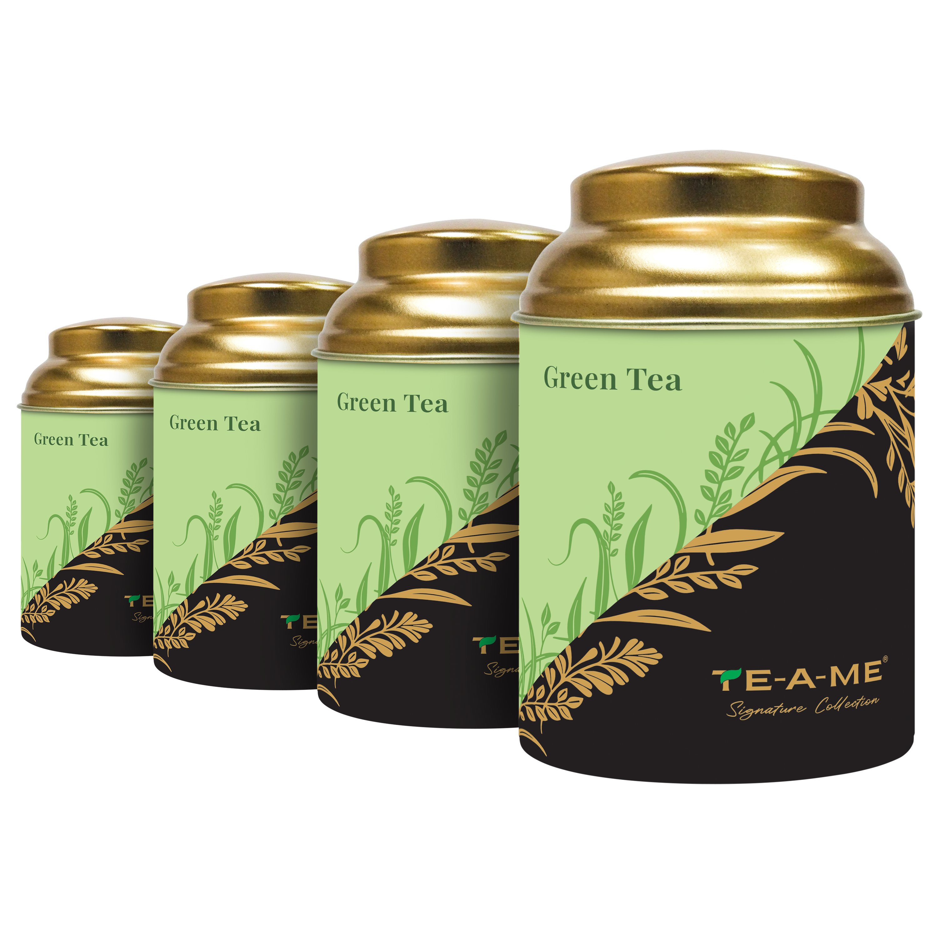 Exotic Brews Green Tea