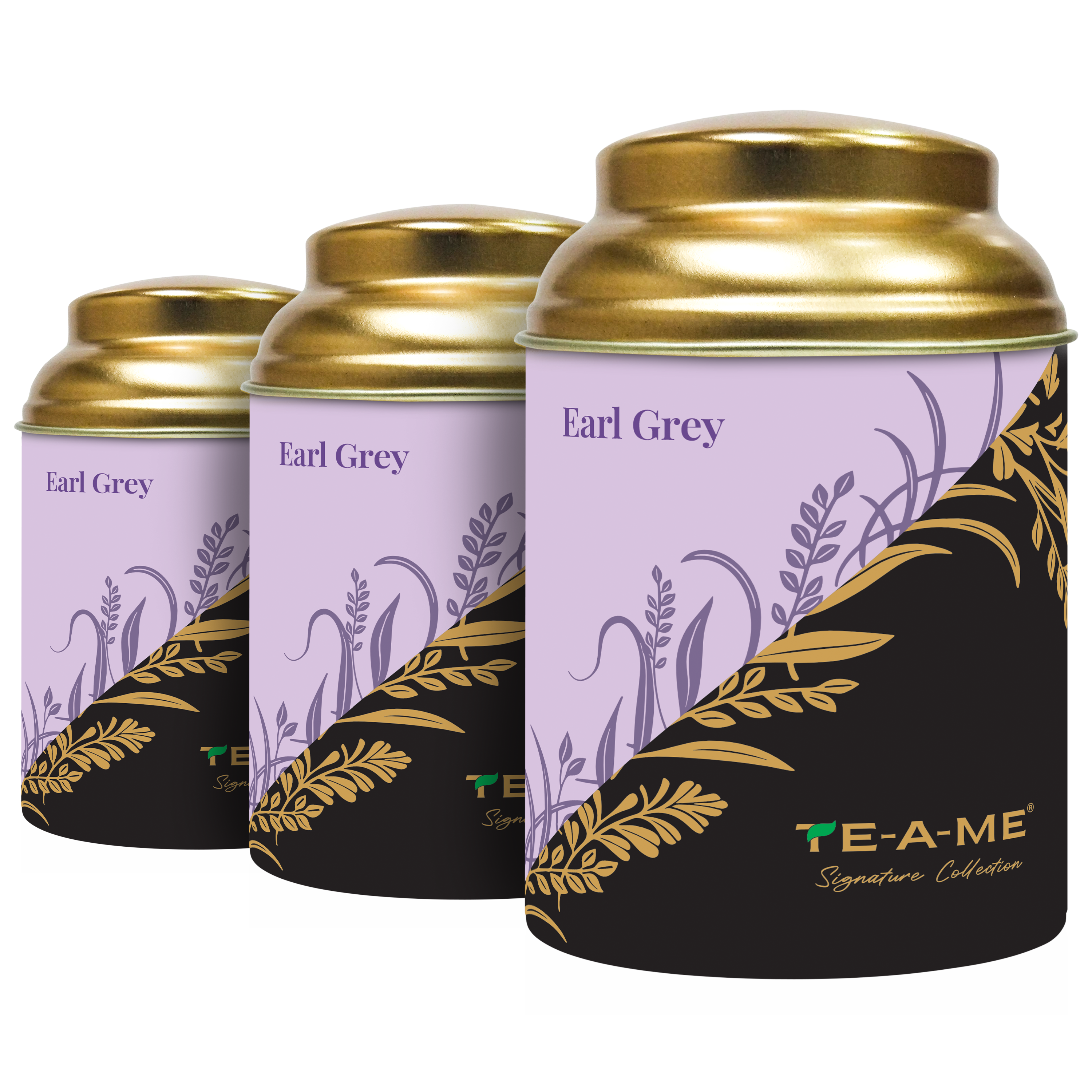 Exotic Brews Earl Grey Tea