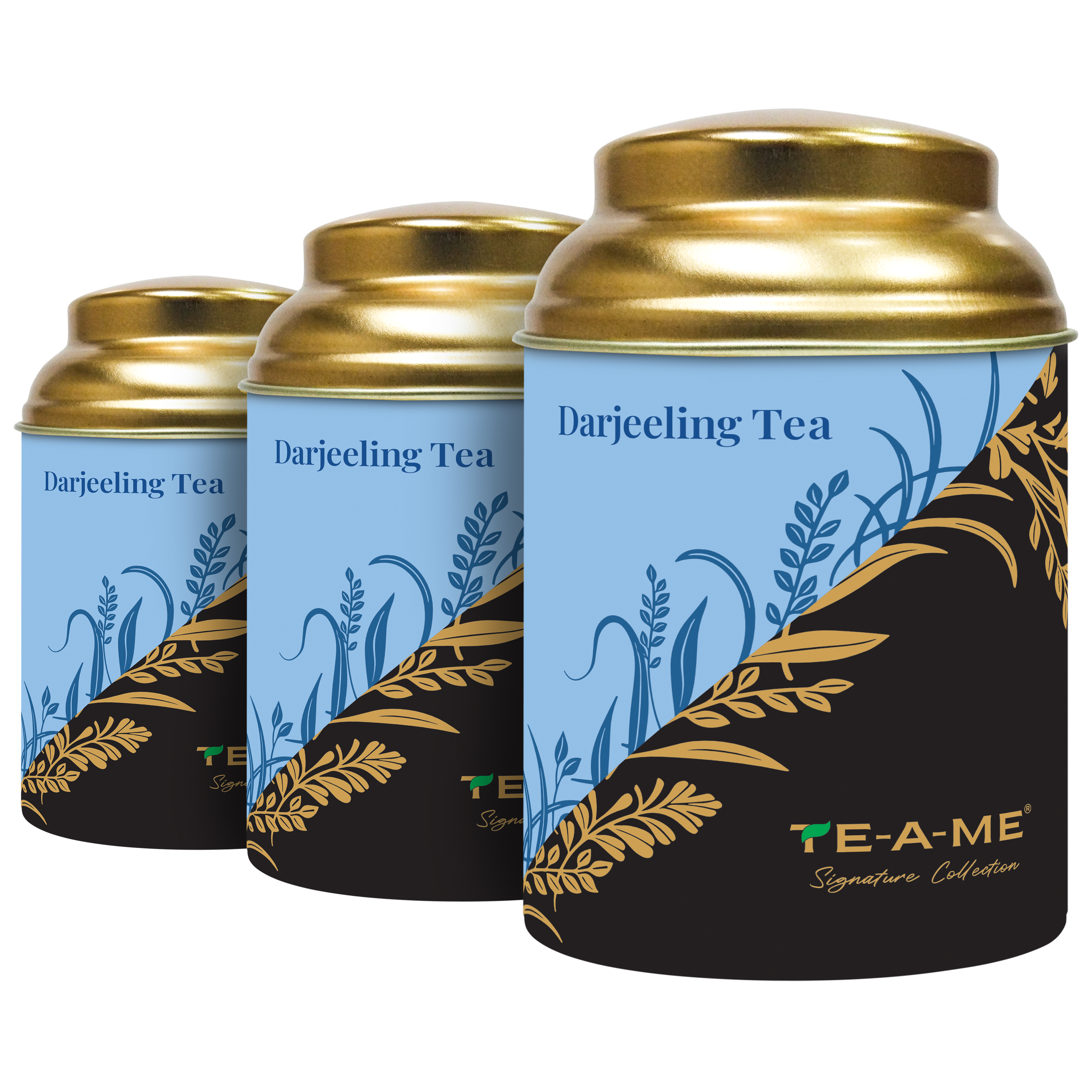 Exotic Brews  Darjeeling Black Tea