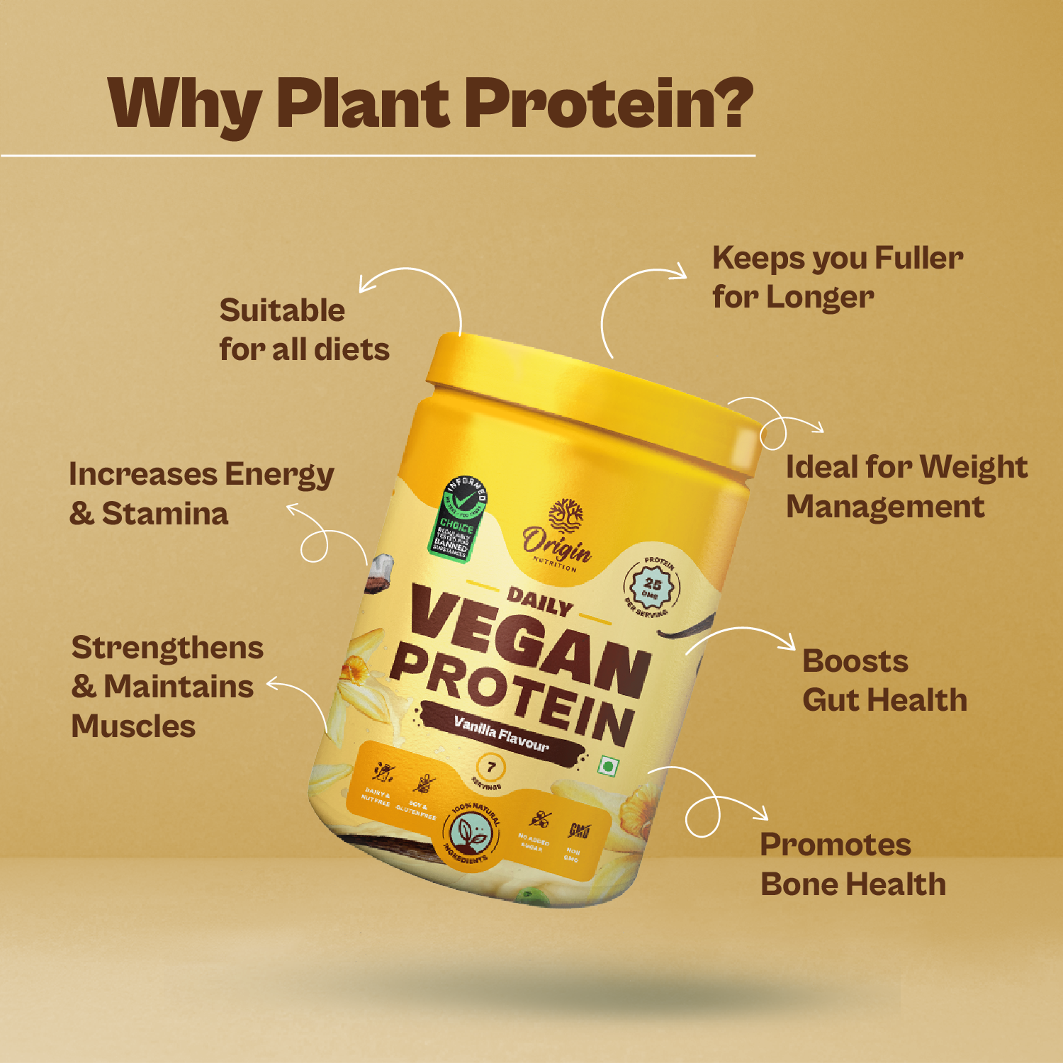 Vanilla Natural Plant Protein Powder