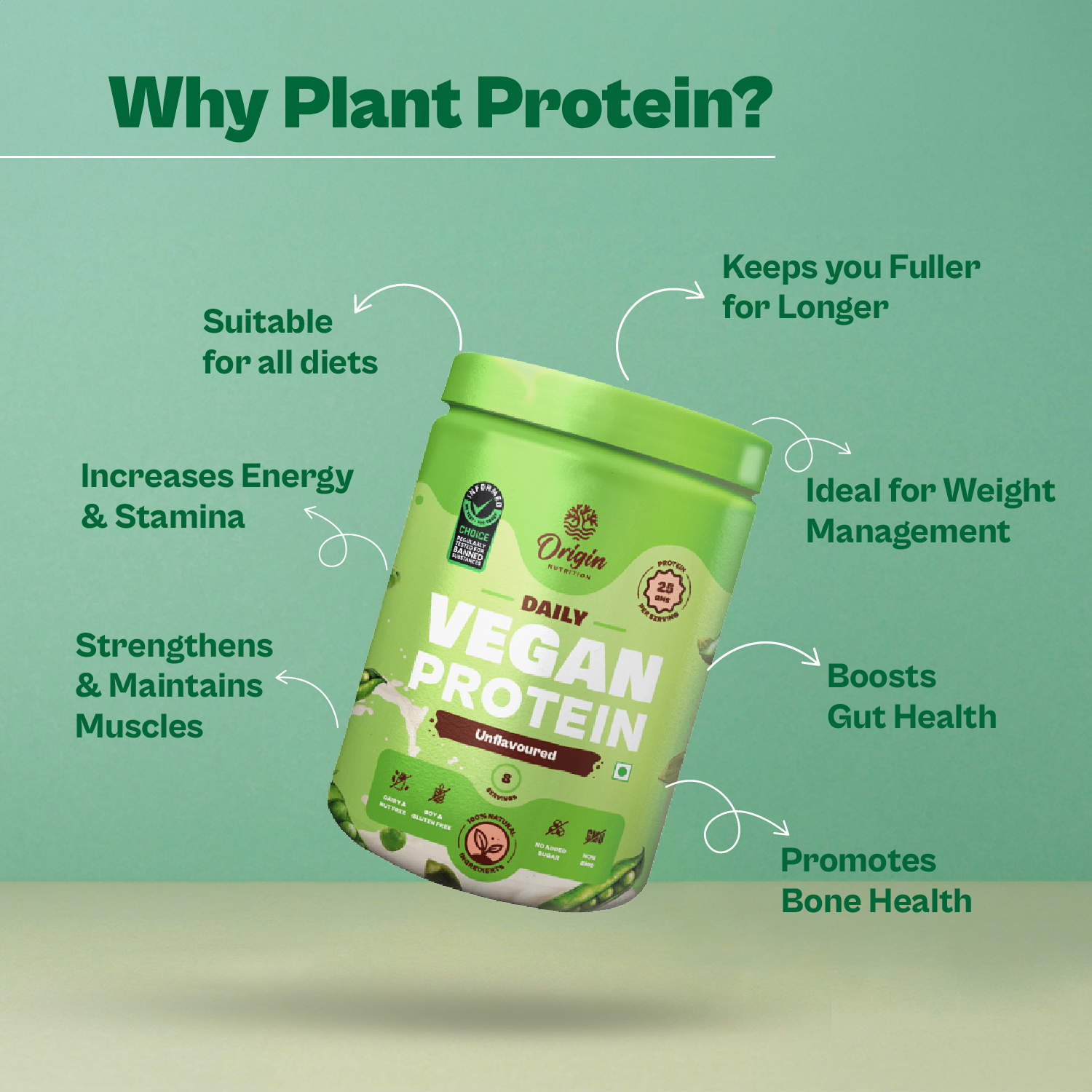 Unflavoured Plant Protein Powder