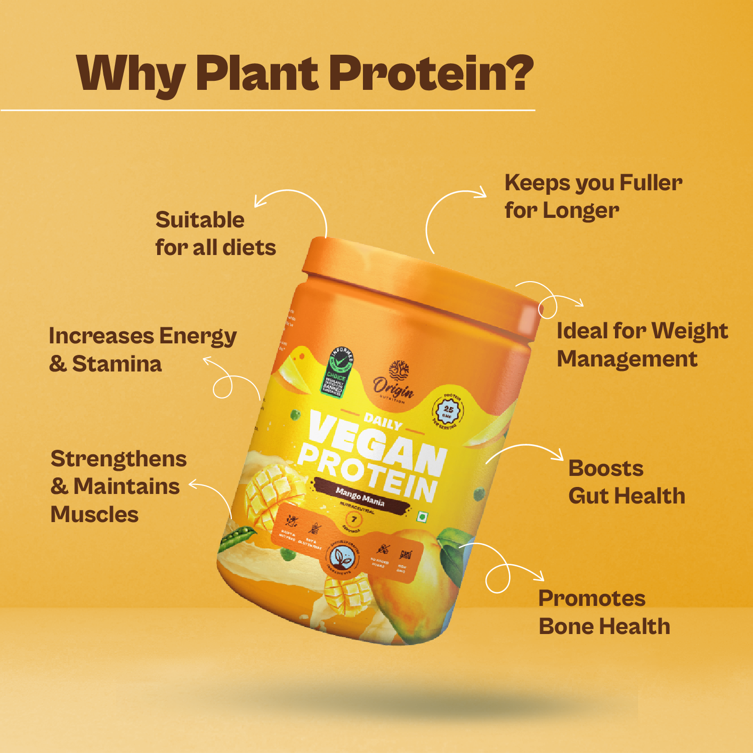 Mango Natural Plant Protein Powder