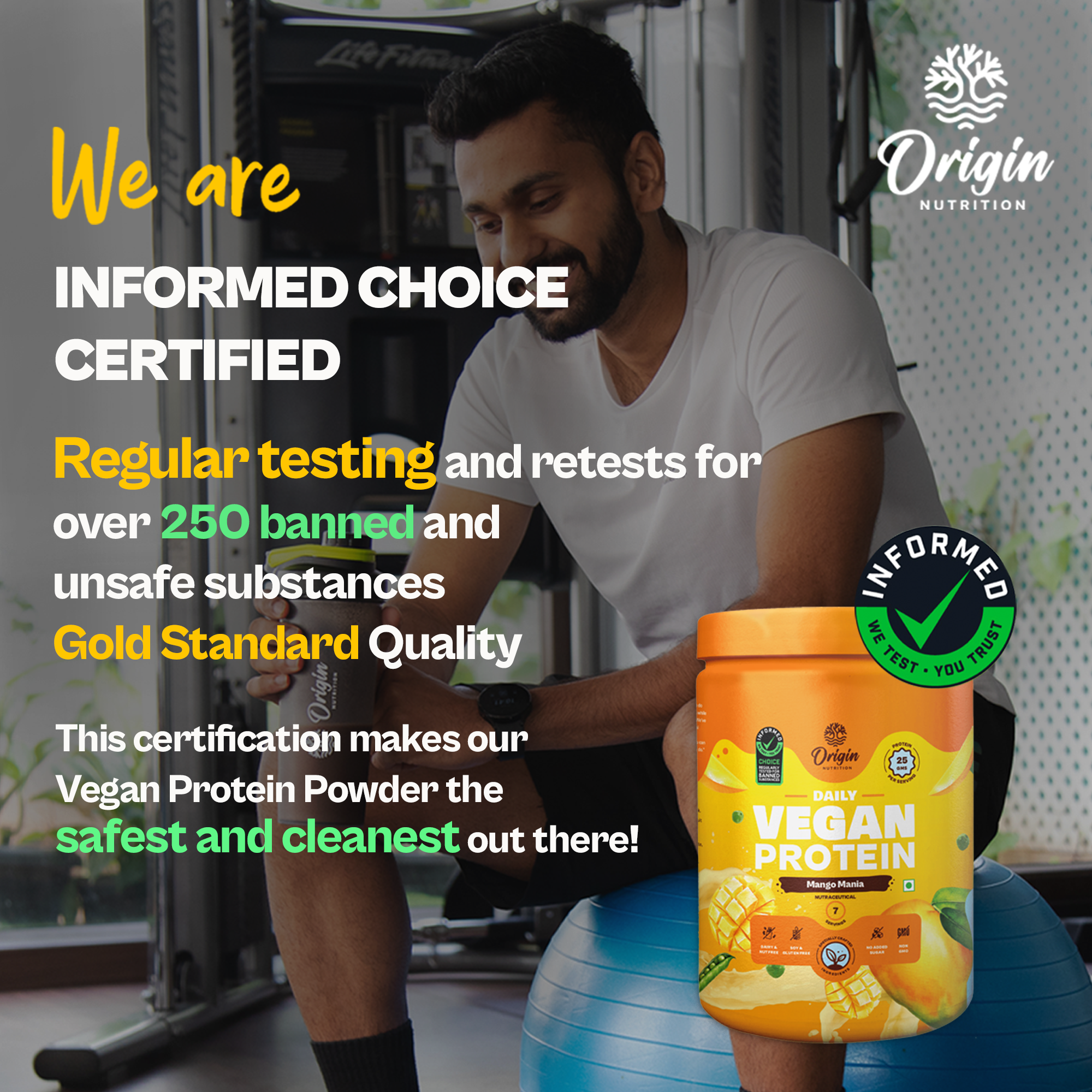 Mango Natural Plant Protein Powder