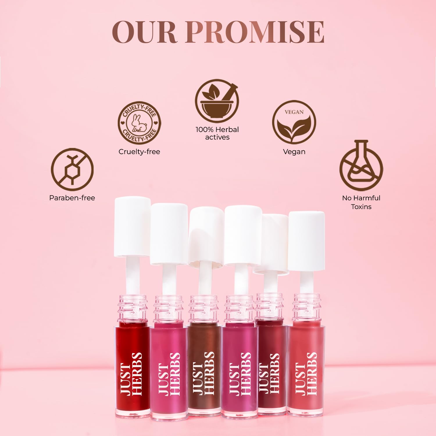 Herb Enriched Matte Liquid Lipstick Kit