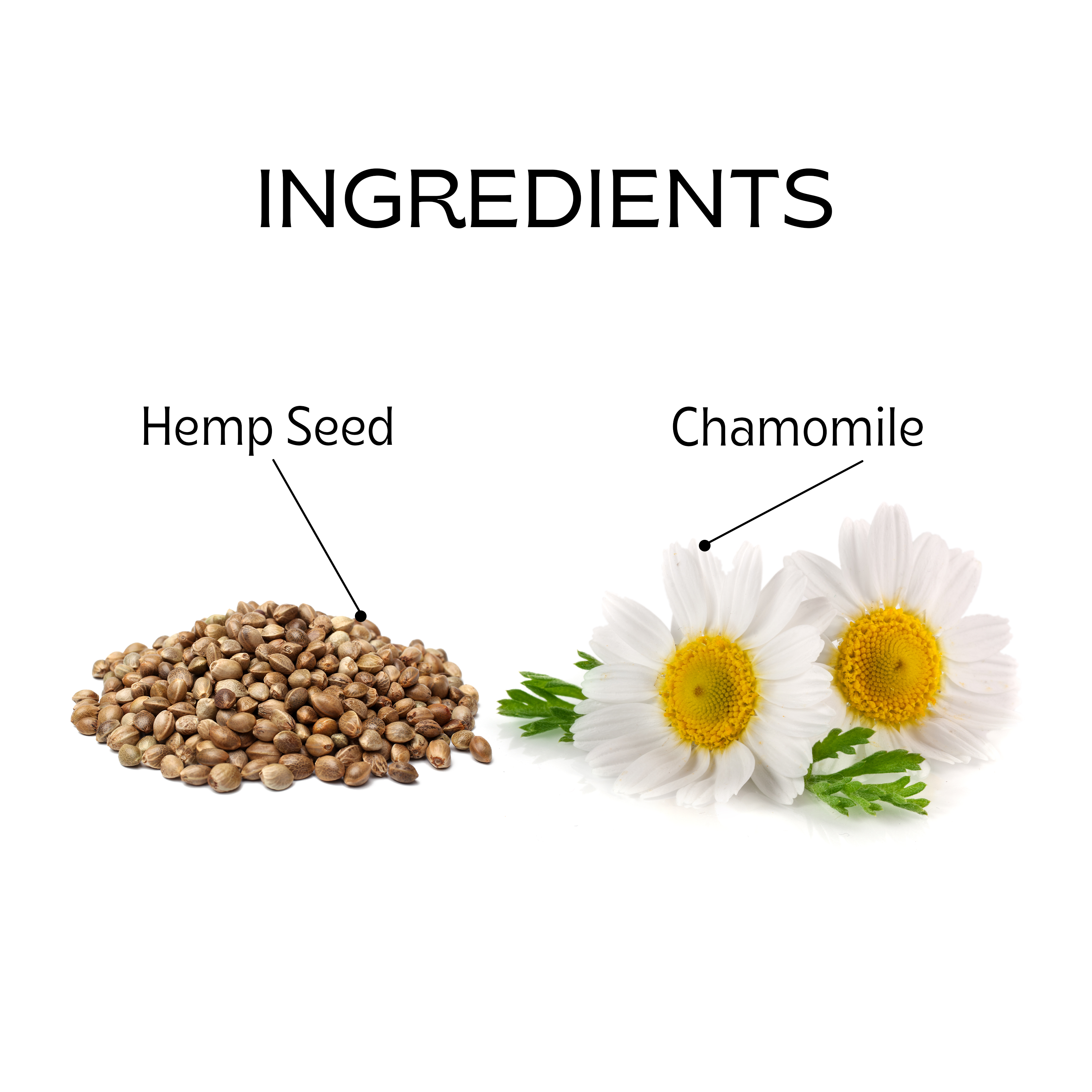 Hemp Chamomile Tea Bags