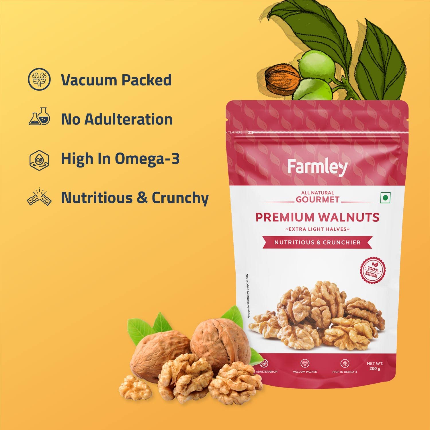 Premium Walnut Kernel