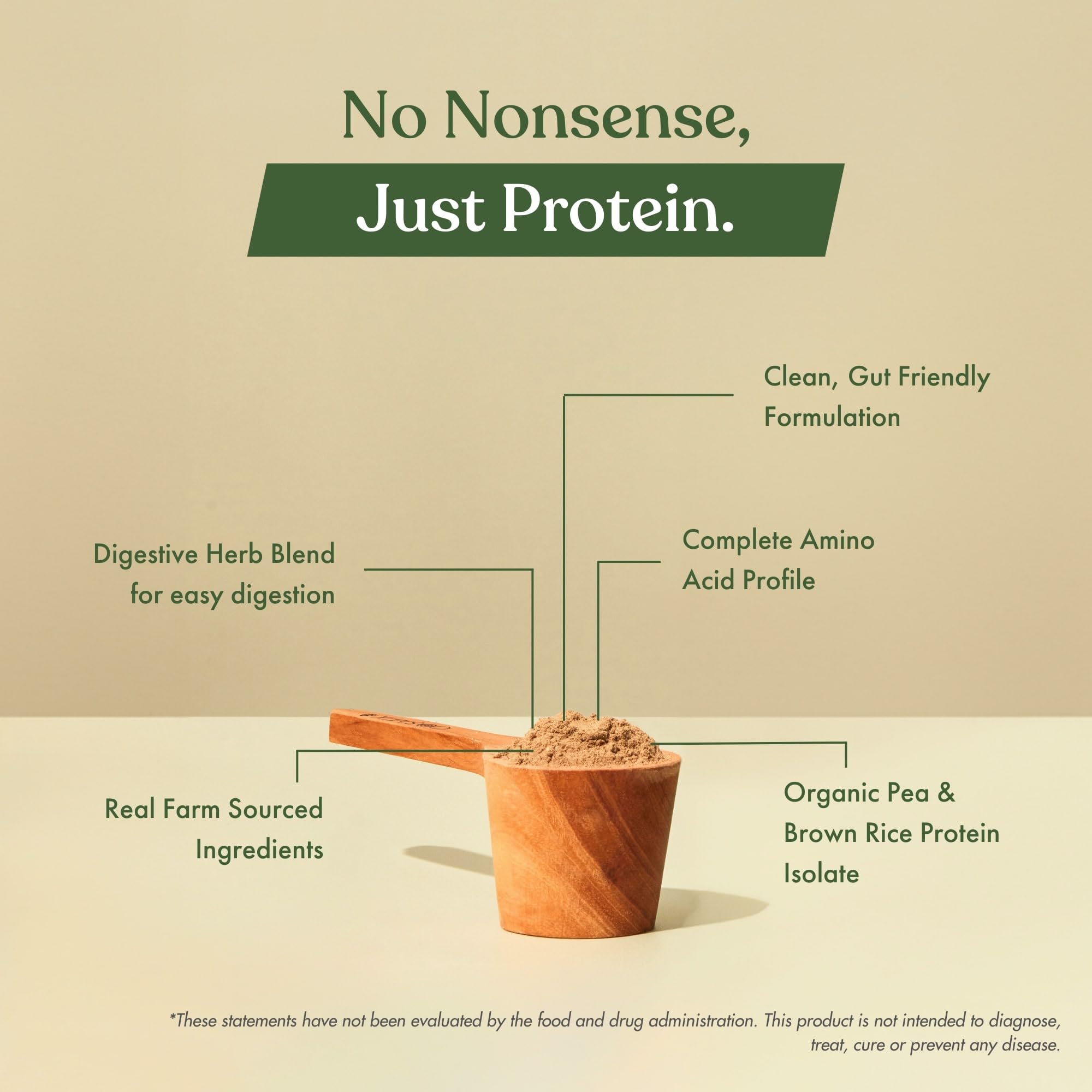 No Nonsense Plant Protein Organic Pea & Rice Isolate Coffee Chocolate Chikmagalur Mocha