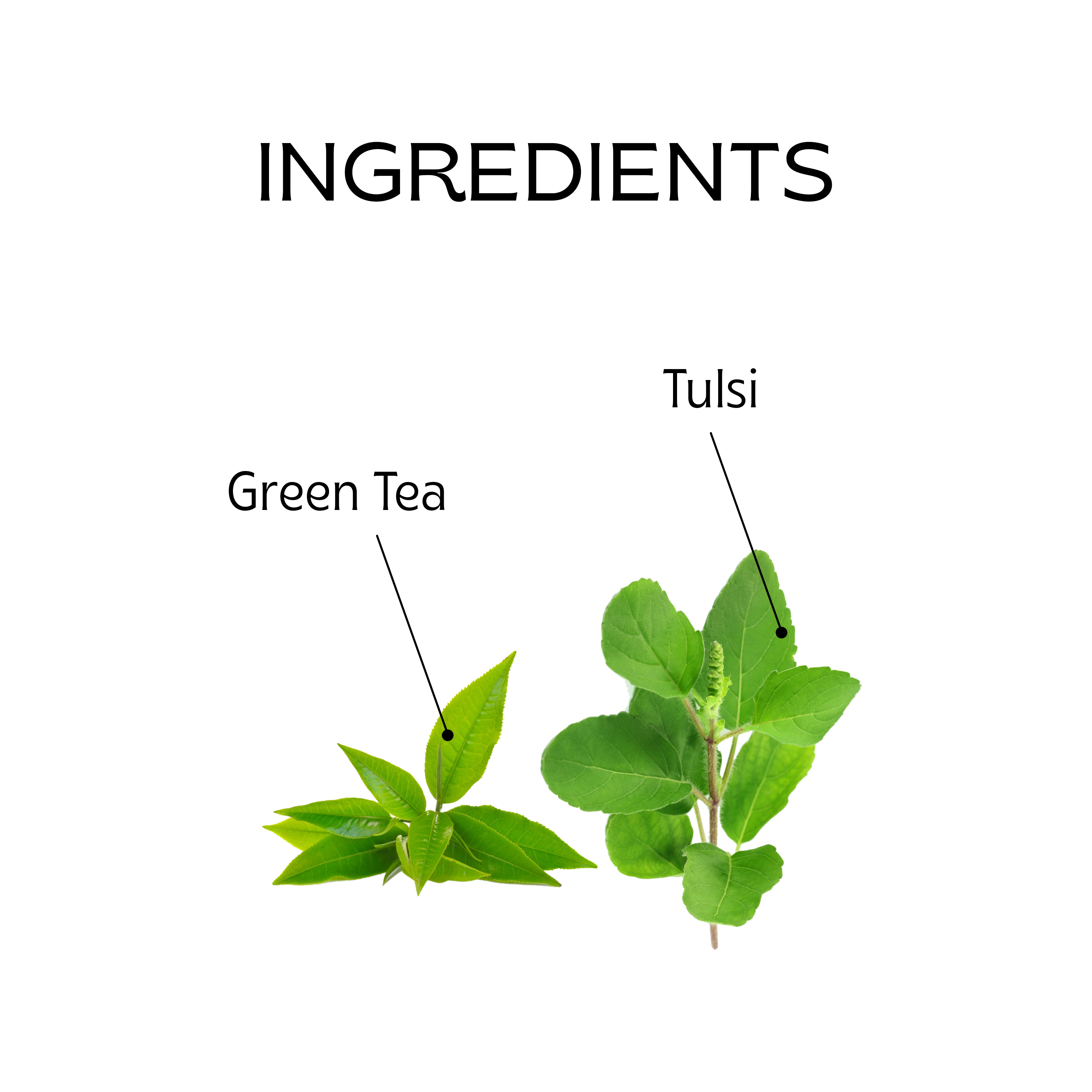 Tulsi Green Tea Bags