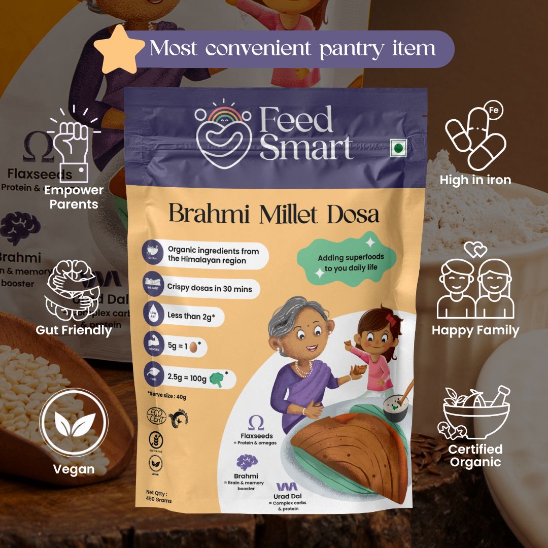 Instant Dosa Mix Batter Dry