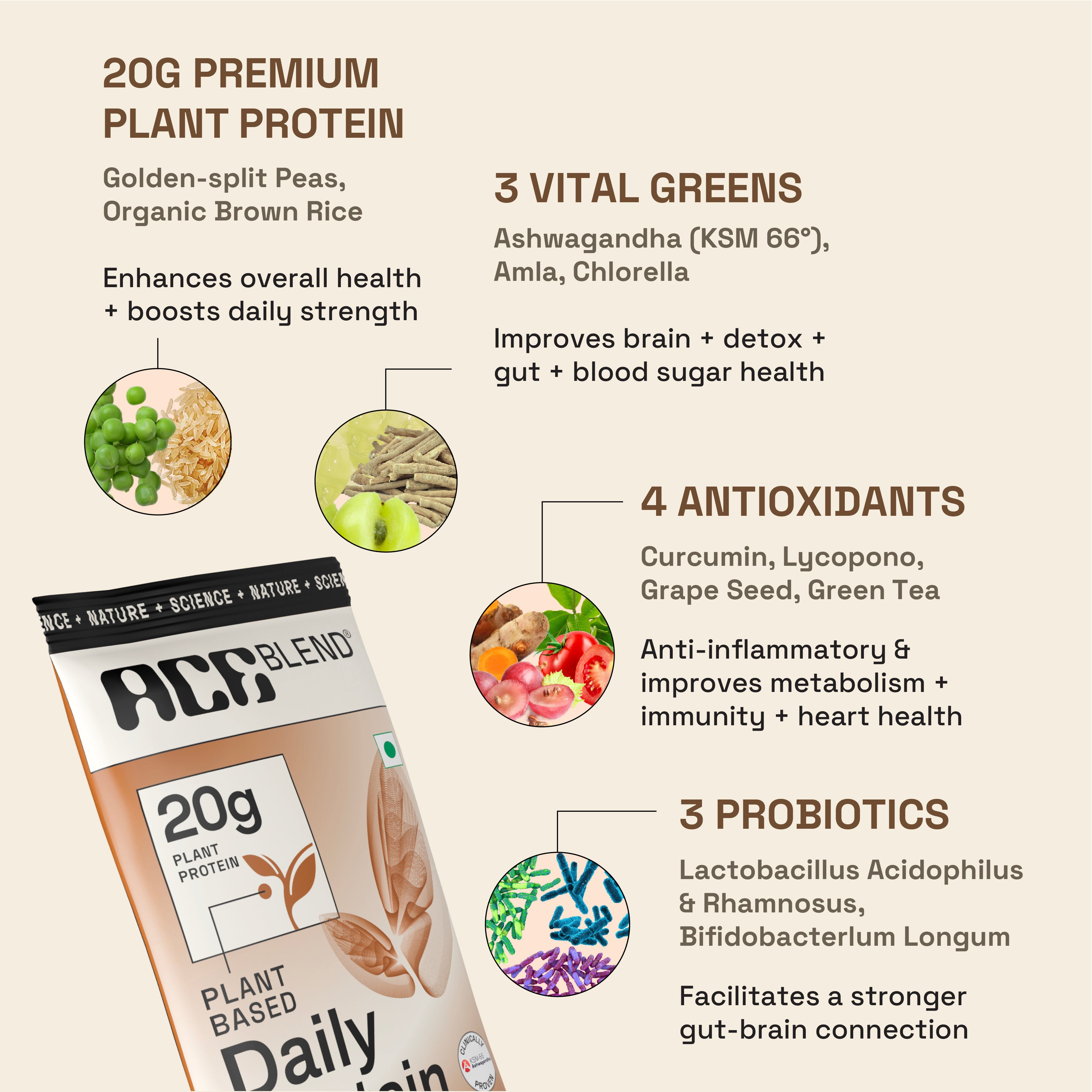 Raw Chocolate Daily 20G Premium Plant Protein & Superfoods