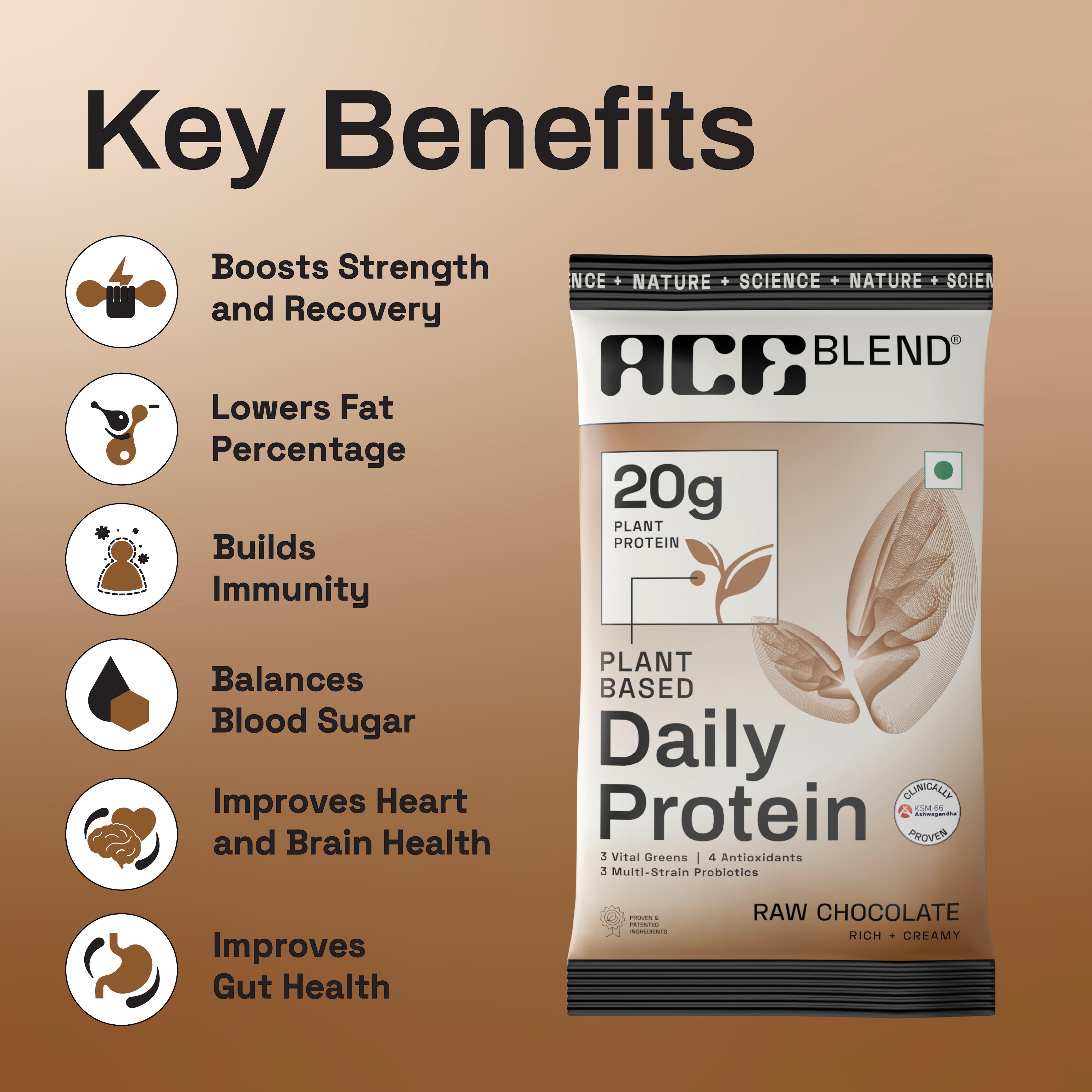 Raw Chocolate Daily 20G Premium Plant Protein & Superfoods