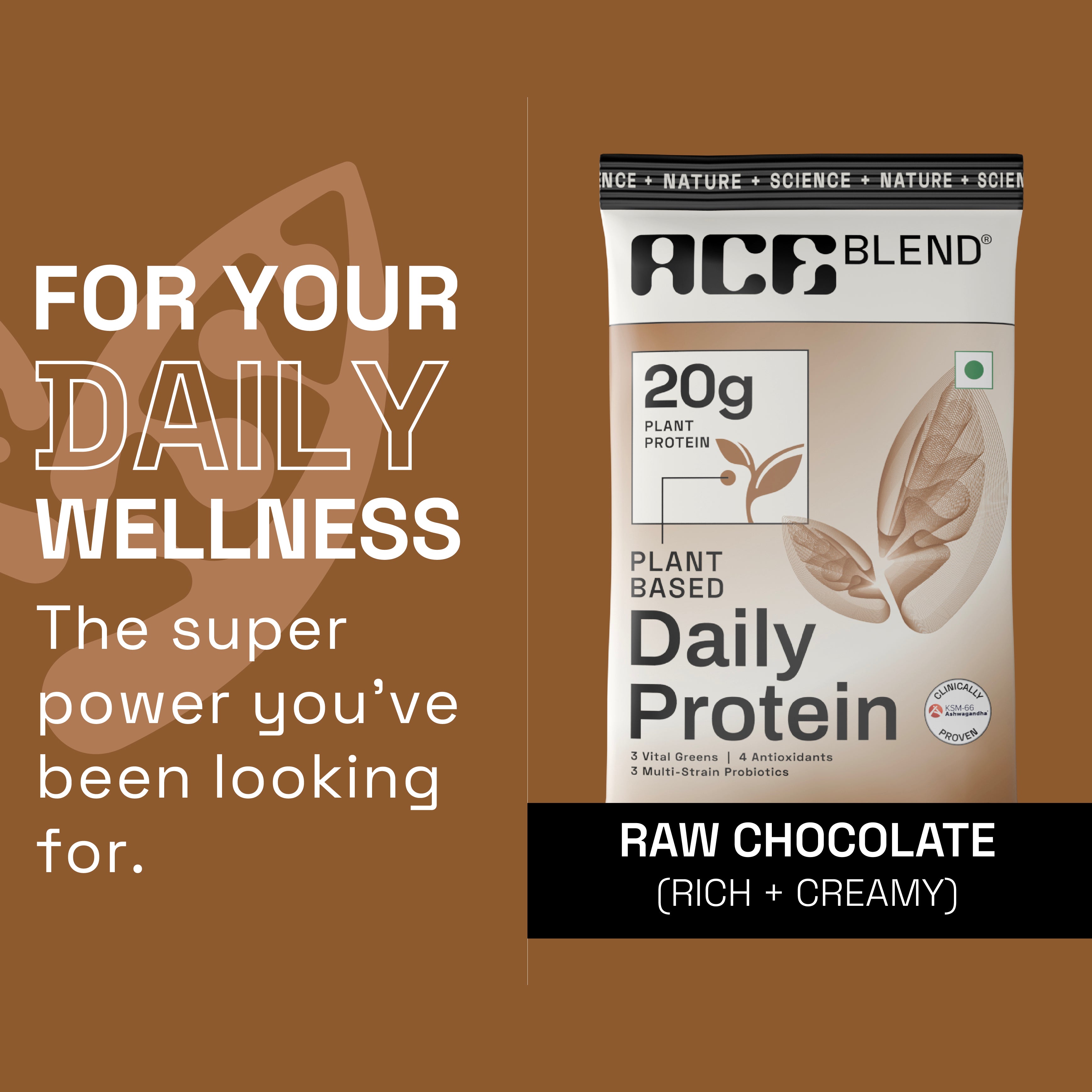 Raw Chocolate Daily 20G Premium Plant Protein & Superfoods